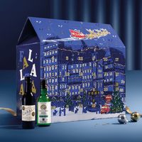 Wine Advent Calendar Mix