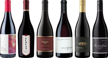 Oregon Pinot Noir Premium Tasting Case