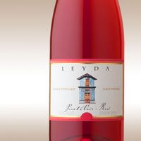 Vina Leyda Pinot Noir Rose