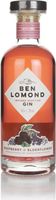 Ben Lomond Raspberry & Elderflower Flavoured Gin