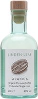 Linden Leaf Arabica Coffee
