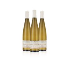 Riesling Grand Cru Pfingstberg
