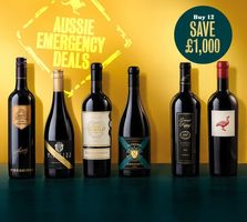 Australian Shiraz Super Six Dozen