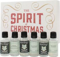 Spirit of Christmas Gin Gift Set