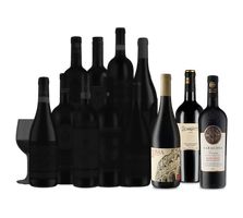 Italian Mystery Reds incl 2 bts 99 pts Veccia...