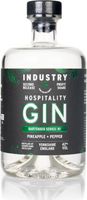 Hospitality Gin Bartender Series #1  Pineappl...