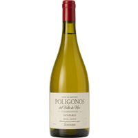 Polígonos San Pablo Chardonnay, Zuccardi, 2021