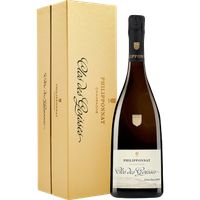 Philipponnat Clos de Goisses Vintage Champagne