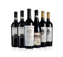 Fine Italian Reds Six