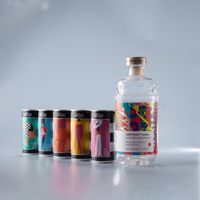 ABSTRAKT Vodka + Artisan Can Mixers Bundle