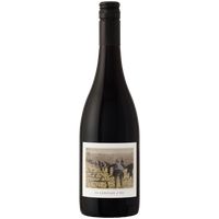 Language of Yes Santa Maria Valley Grenache