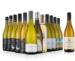 Luxury Sauvignon Megadeal + FREE bottle