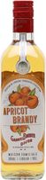 Gabriel Boudier Apricot Brandy Liqueur