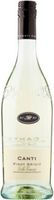 Canti Pinot Grigio