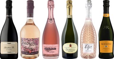 Prosecco Premium Tasting Case