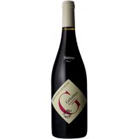 Beaujolais nouveau - les griottes  - domaines chermette (vissoux)