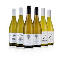 New Zealand Sauvignon Six