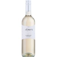 Grillo