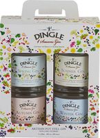 Dingle Four Seasons Gin Gift Pack