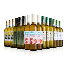Pinot Grigio 15-bottle Showcase