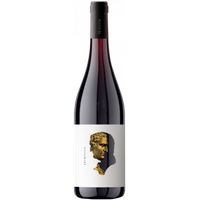 Otre Primitivo  -  Cantine