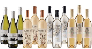 Crisp Sauvignon Blanc Collection