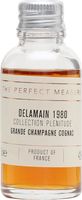 Delamain Collection Plenitude 1980 Sample / 40 Year Old