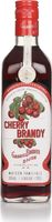 Gabriel Boudier Cherry Brandy Liqueur