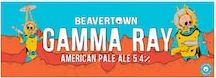 Beavertown Gamma Ray American Pale Ale 10x330ml