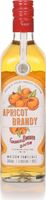 Gabriel Boudier Apricot Brandy (Bartender Range) Liqueurs