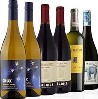 Cellar Masterpieces Case of Six