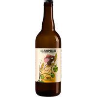 French lager Minus 75cl - Brasserie Les Funambules