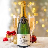 Champagne Louis Dumont