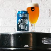 Double Punk 330ml Can