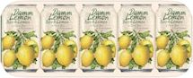 Damm Lemon Radler Lager 10x330ml