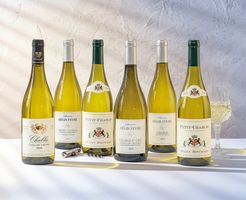 Fine Vintage Chablis Six