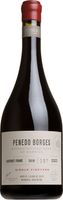 Microvinificaciones en Barrica Cabernet Franc, Penedo Borges, Mendoza - BOTTLE (75CL)