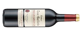 Chateau Guillotin