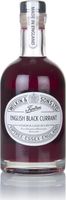 Tiptree English Black Currant Vodka Vodka Liq...