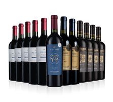 Luxury Argentinian Malbec Showcase