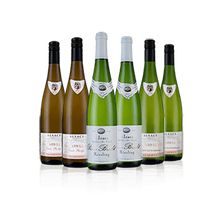 CORE Alsace Whites Six