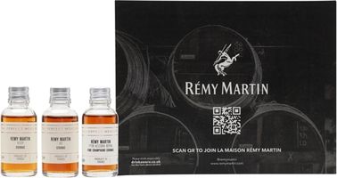 Remy Martin Discovery Flight / Cognac Show 2021 / 3x3cl