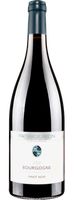 Patrice & Maxime Rion Bourgogne Pinot Noir