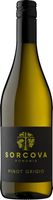 Sorcova Pinot Grigio