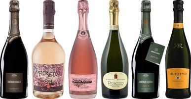 Prosecco Premium Tasting Case