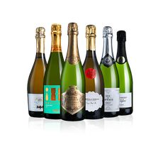Sparkling Six Case