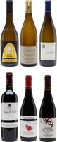 Classic France Wine Case / 6 Bottles