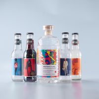 ABSTRAKT Vodka + Artisan Bottle Mixers Bundle