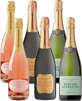 The Sparkling Celebration Case, 6 Bottles