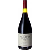 Familia Zuccardi Poligonos San Pablo Malbec